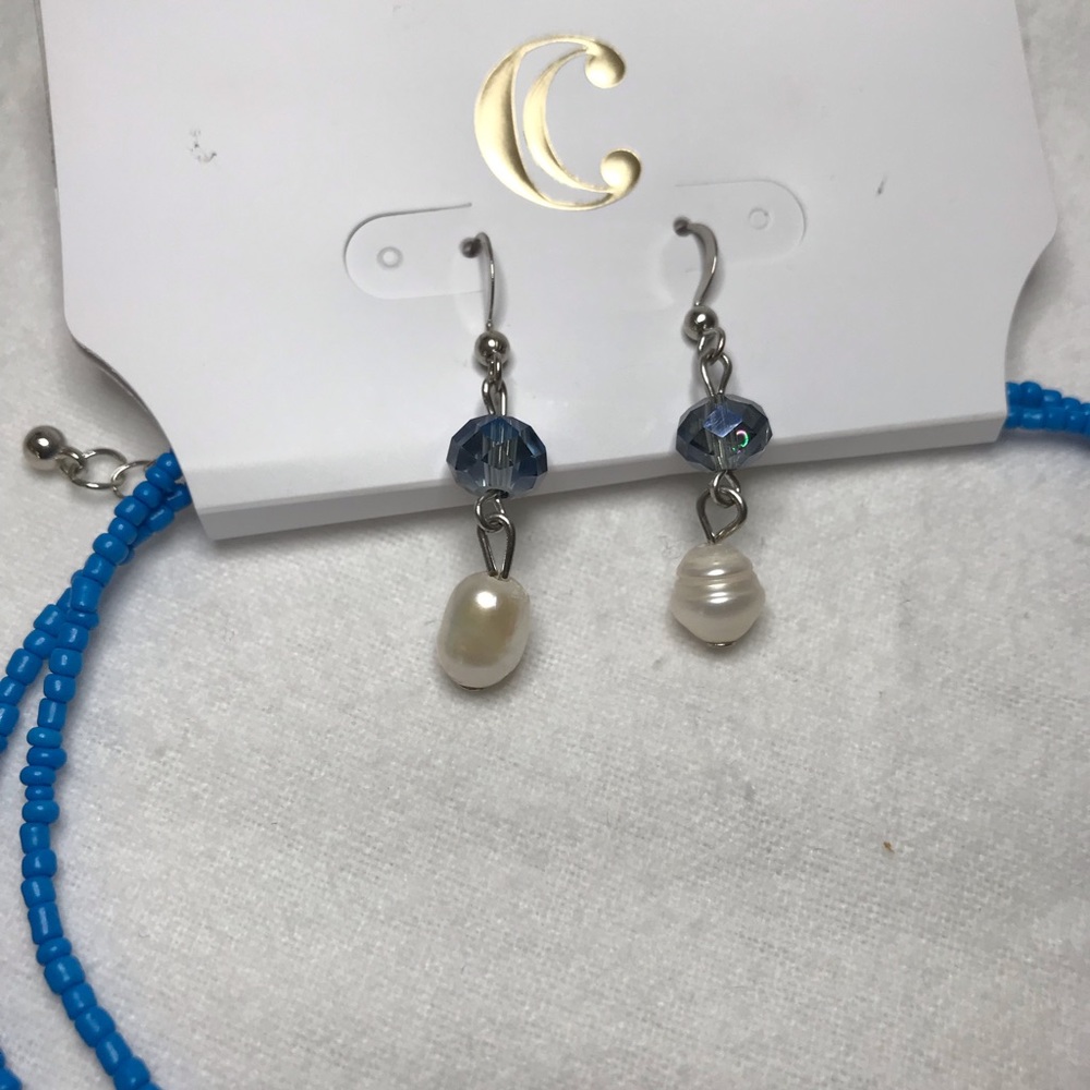 Charming Charlie necklace & earring set, blue